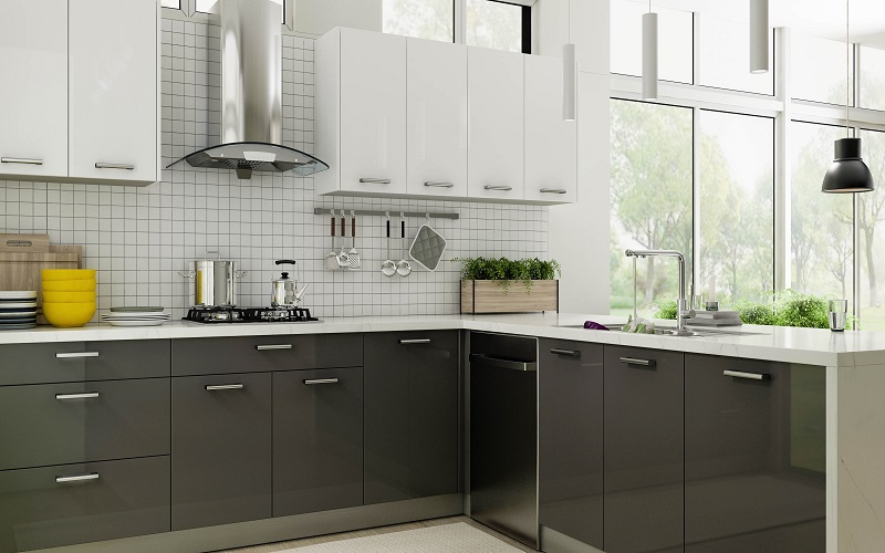 Modern Kitchen Cabinet delight series glossy finish GoldenHome Cabinetry Frameless Reinvented